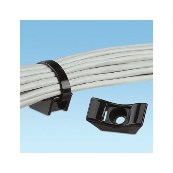Cable Tie, Mnt, Eh, No 10Scrw, Wrnylon, Bl, PK10